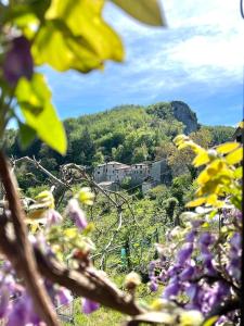 Tuscany Escape
