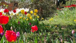 Casita Blanca - CON WIFI!