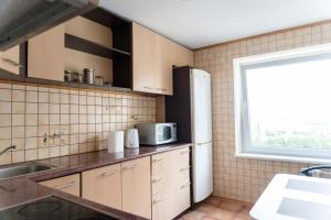 Šeškinės 61 Spacious Cozy Apartment