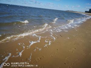 Appartements COCON NATURE ENTRE LAC ET L OCEAN : photos des chambres