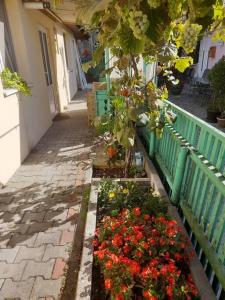 Emese Central Vintage Apartment