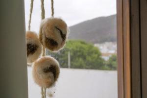 Dúplex Lapacho Amarillo