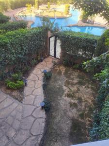 دوبلكس فى السياحية السادسة