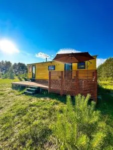 Latający Holender - Giby