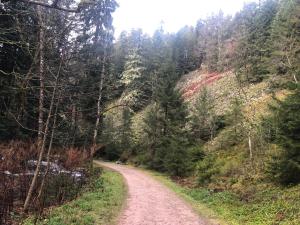 Chalets Chalet Au fil de l'eau : photos des chambres