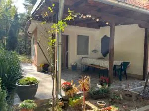 Šumska kuća Juga Kovačević - Ram