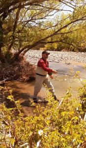 BARDAS del LIMAY DORMI-con HIDROMASAJE - totalmente EQUIPADO