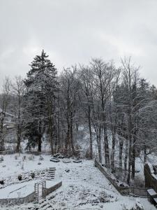 Appartements Le nid : photos des chambres