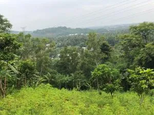 Ocedeh HomeStay - Midang