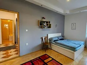 Lovely central apartment with free parking, Központhoz közeli 3 szobás lakás - 奥布道