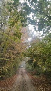 Chambre Double avec Salle de Bains Privative