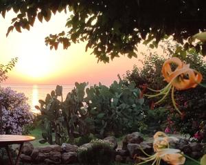 Villetta con giardino vista mare