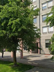 Comfy flat in city-FREE parking 