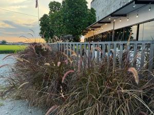 MostPopular!!! Hay Cafe TranquilFields - OnlyYou with Hay, Rentable For Event