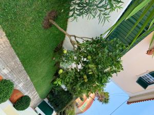 MAISON Cosy Piscine 4 chambres