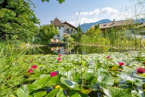 Ferienwohnungen Rebmannhof