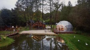 Domki i Glamping Nałęczów - Pod Łysą Górą