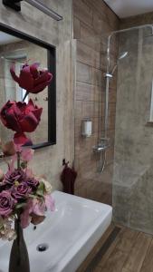 Apartmány u Holubů Na náměstí