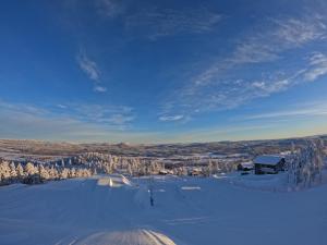 Toppvillan - Ski In - Ski Out - 200 m till toppen och cykelleder
