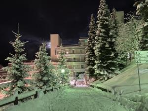 Appartamento Cinzia Residence Solaria Marilleva 1400