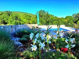 Relaxing Dalmatian house in village - Prgomet