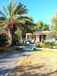 Villa Stella Family House