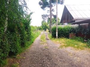 Cabaña la Araucaria