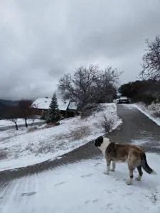 Refugio del Águila "Casa Diamán" - El Purche