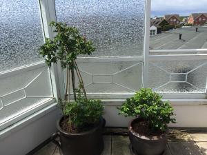 Ferienwohnung Penthaus Nordmarkhof Sylt Westerland