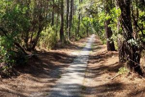 Appart moderne grande piscine Lacanau océan pinède