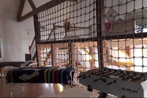 Maisons de vacances Gite avec Sauna et Hammam privatif - 1000 etangs : photos des chambres