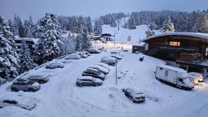 Appartements Appartement pieds des pistes, 6p, piscine ouverte pendant l'ouverture de la station, vue imprenable, Chamrousse : photos des chambres