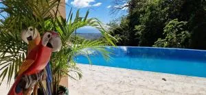 Vista Mar y Monos - Primavera