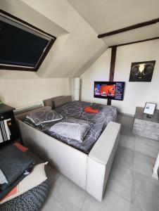 Appartements Charmant appart pres Europa-Park Rulantica 30 min : photos des chambres