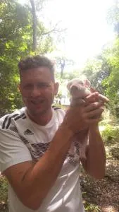 Stelzner Brozoski - São José dos Pinhais