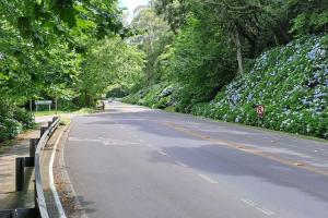 Casa Missões Dill Haus 1