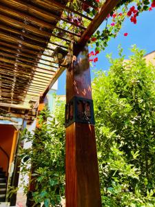 Apartamento entero en Sopocachi