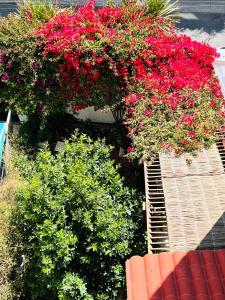 Apartamento entero en Sopocachi