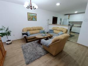 Entire house floor - 2-Bedroom Cozy & Peaceful Apartment