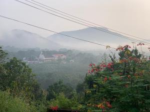 Chill Valley Serviced Villa