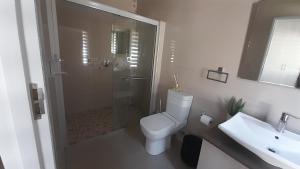 Albatross @ Kingswood