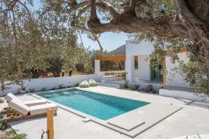 Onar Villas Skyros - Linariá