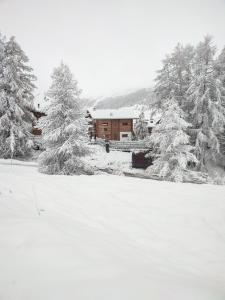 Nix & Nivis Chalet img29