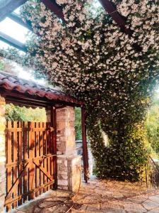 The View House Portaria Pelion