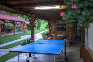 Pensiunea Casa Loloiu