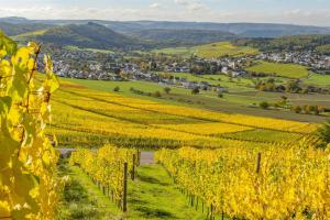Weingut-Ferienwohnungen Lorenz - nur Urlaubsgäste