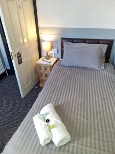 Single Room with Shared Shower and Toilet room in Spalite Hotel