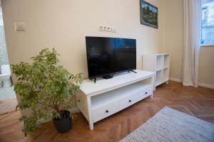 Planeta dos sonhos - Fast Wi-Fi, 1BDR, Top centre