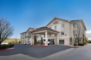 Comfort Inn & Suites Airport Convention Center - سباركس