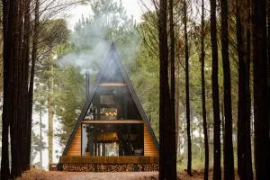 Cabana Alameda Orange - Oswaldo Kroeff